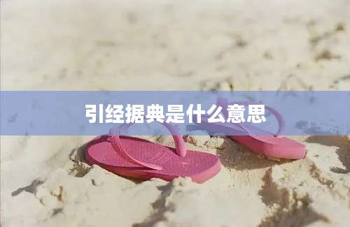 引经据典是什么意思