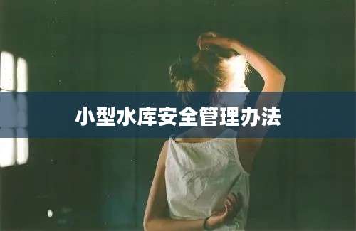 小型水库安全管理办法