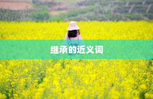 继承的近义词