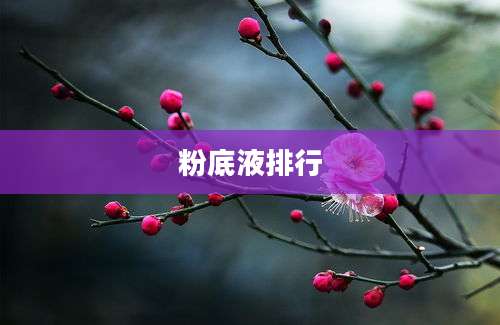 粉底液排行