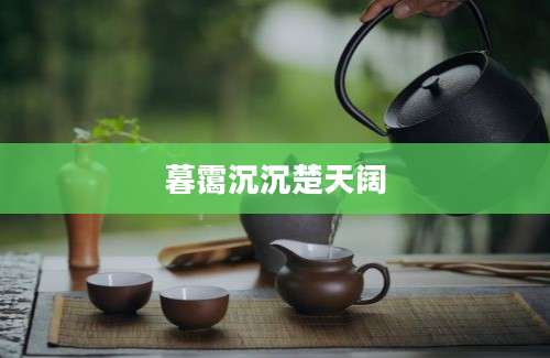 暮霭沉沉楚天阔