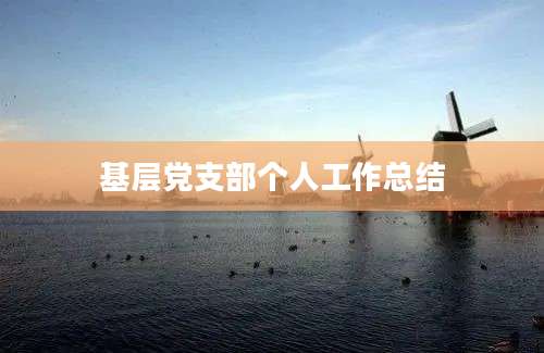 基层党支部个人工作总结