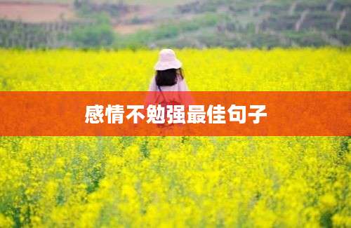 感情不勉强最佳句子