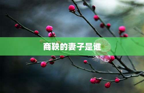 商鞅的妻子是谁