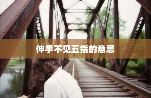 伸手不见五指的意思