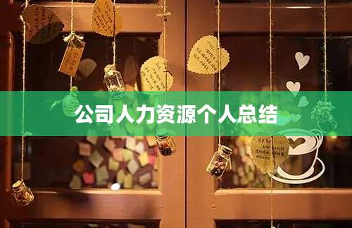 公司人力资源个人总结