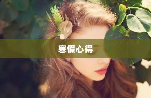 寒假心得