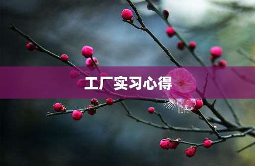 工厂实习心得