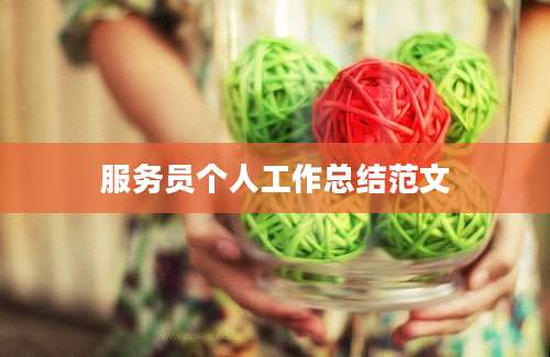 服务员个人工作总结范文