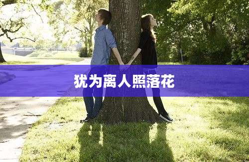 犹为离人照落花