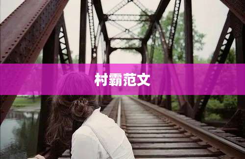 村霸范文