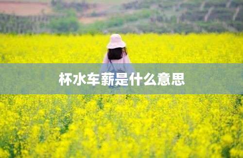 杯水车薪是什么意思