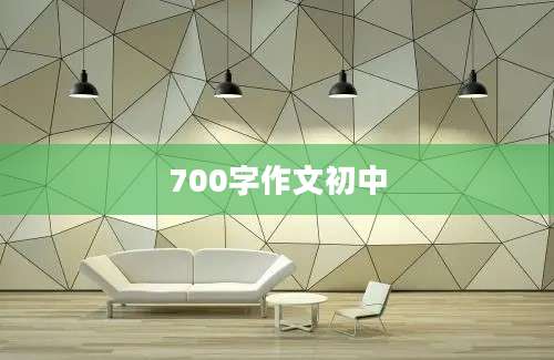 700字作文初中
