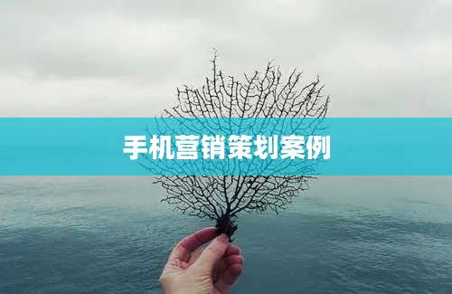 手机营销策划案例