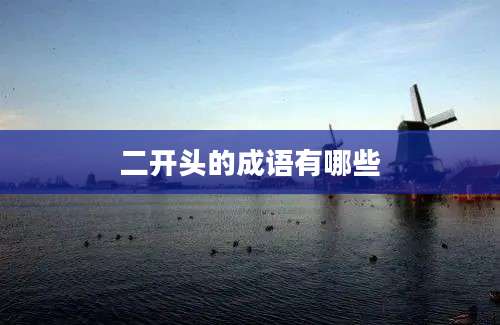 二开头的成语有哪些
