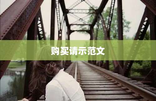 购买请示范文