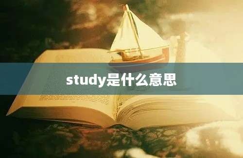 study是什么意思
