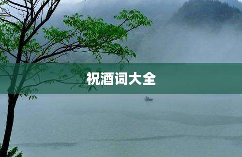 祝酒词大全