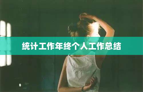 统计工作年终个人工作总结