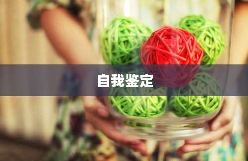 自我鉴定