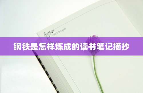 钢铁是怎样炼成的读书笔记摘抄