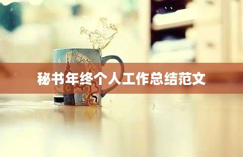 秘书年终个人工作总结范文