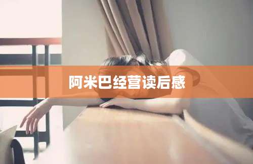 阿米巴经营读后感
