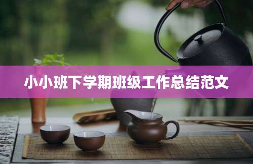 小小班下学期班级工作总结范文