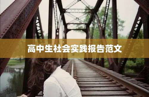 高中生社会实践报告范文