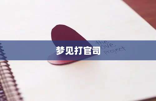 梦见打官司
