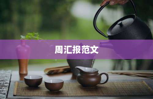 周汇报范文