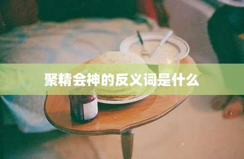 聚精会神的反义词是什么