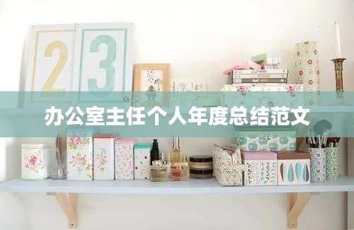 办公室主任个人年度总结范文