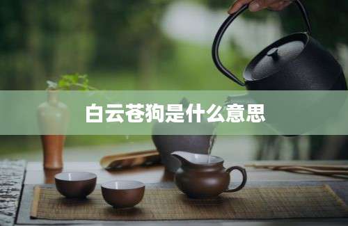 白云苍狗是什么意思
