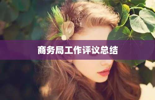 商务局工作评议总结