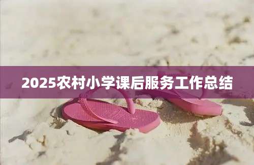 2025农村小学课后服务工作总结