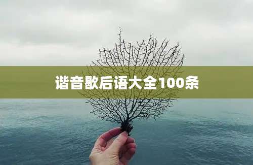 谐音歇后语大全100条
