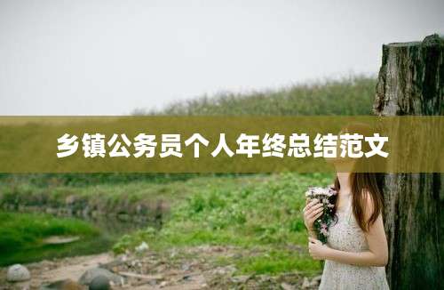 乡镇公务员个人年终总结范文