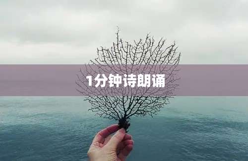 1分钟诗朗诵