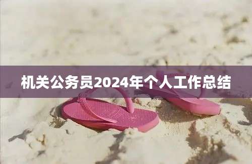 机关公务员2024年个人工作总结