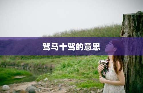 驽马十驾的意思