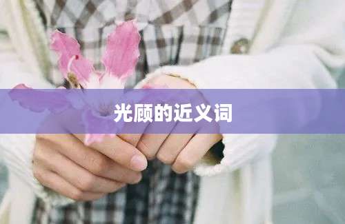 光顾的近义词