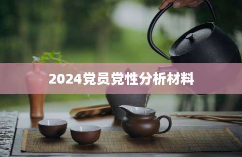 2024党员党性分析材料