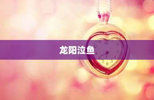 龙阳泣鱼