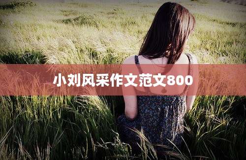 小刘风采作文范文800