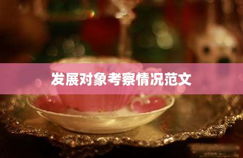 发展对象考察情况范文