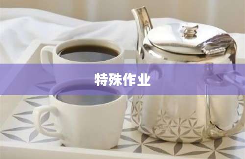 特殊作业