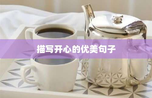 描写开心的优美句子
