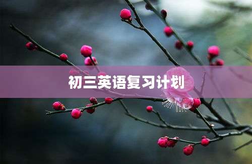 初三英语复习计划