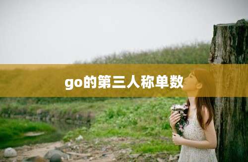 go的第三人称单数